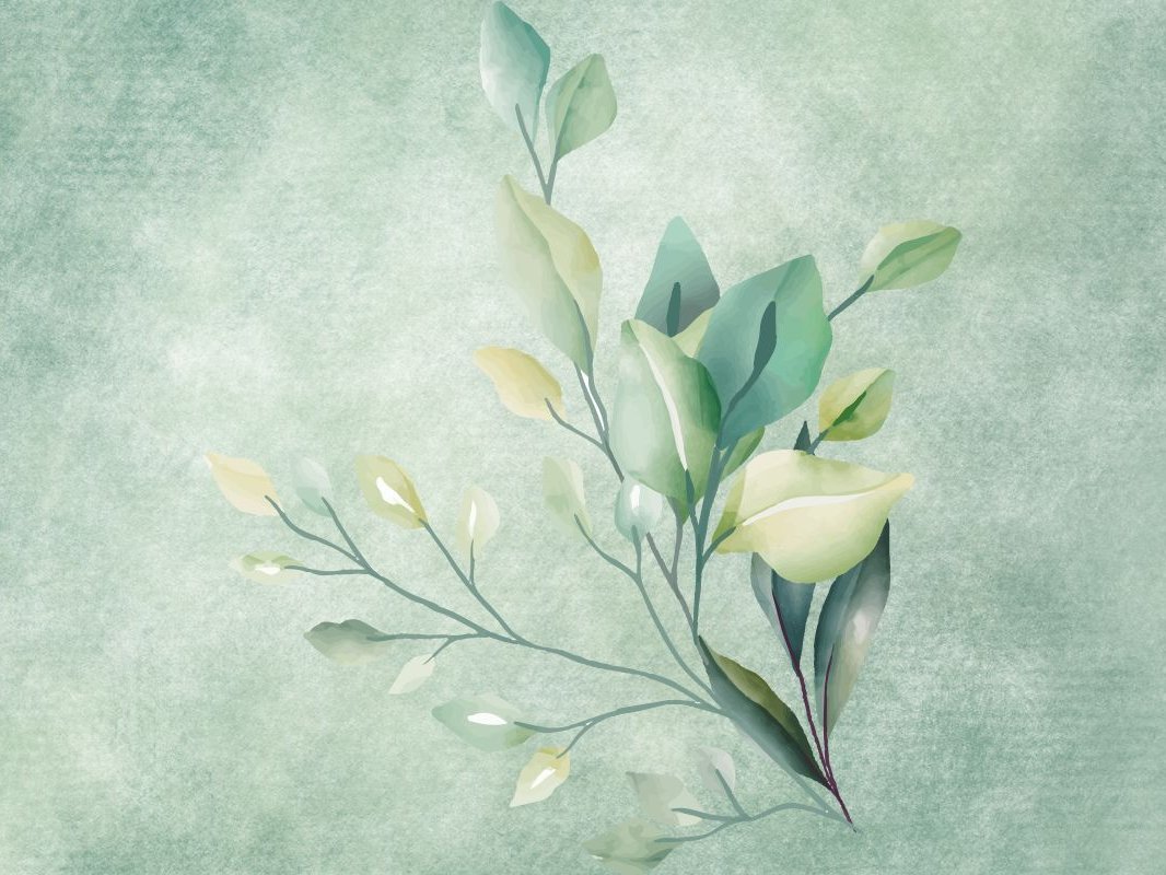 Ménopause et acupuncture : comprendre les déséquilibres énergétiques selon la médecine chinoise