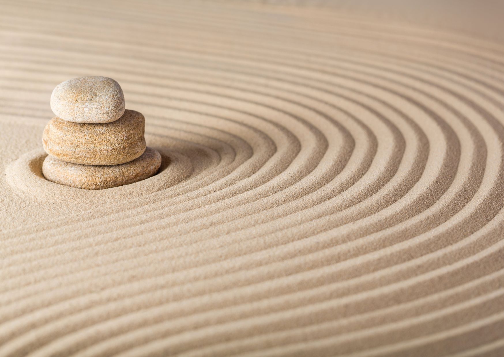 Faire cohabiter bien-être, écoute et performance est un défi d'aujourd'hui. Nous vous aidons à le relever.