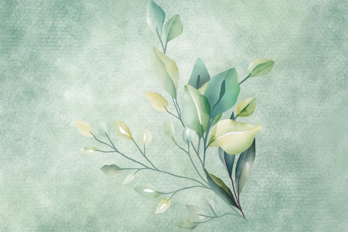 La ménopause est une étape naturelle de la vie d'une femme. Elle marque la fin des cycles menstruels, mais aussi une transition énergétique profonde, souvent amorcée dès la périménopause.
Si certaines femmes traversent cette période avec peu de manifestations, d'autres ressentent des changements corporels et émotionnels parfois difficiles à comprendre.