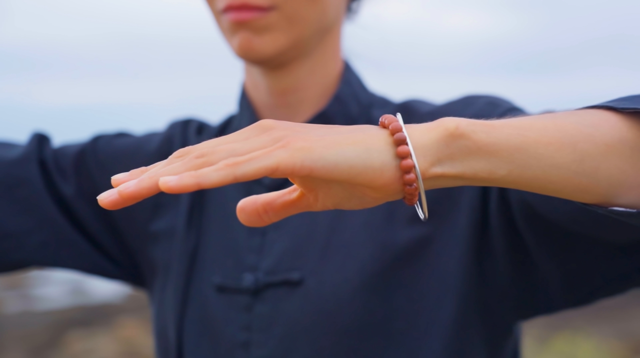 Le vendredi 9 mai, EARTH | Sérénité & vitalité organise un stage de Qi Gong taoïste des 5 éléments à Retiers (Ille-et-Vilaine, Rennes sud).
Accessible à tous, ce stage propose de découvrir une pratique énergétique traditionnelle issue du Qi Gong taoïste et de la médecine traditionnelle chinoise, permettant de cultiver la vitalité, d'apaiser le mental et d'harmoniser les émotions.
Aucun prérequis n'est nécessaire : débutants complets comme pratiquants sont les bienvenus.