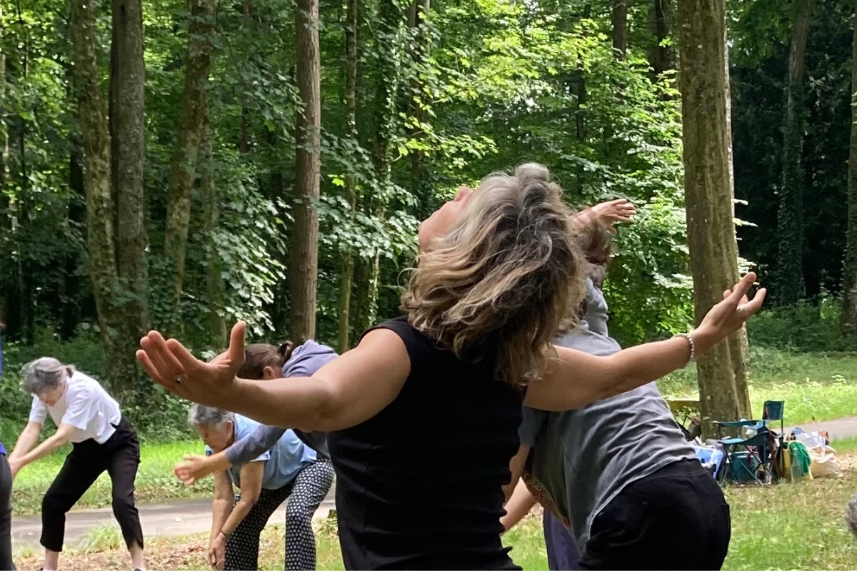 Plusieurs formations, un même élan !