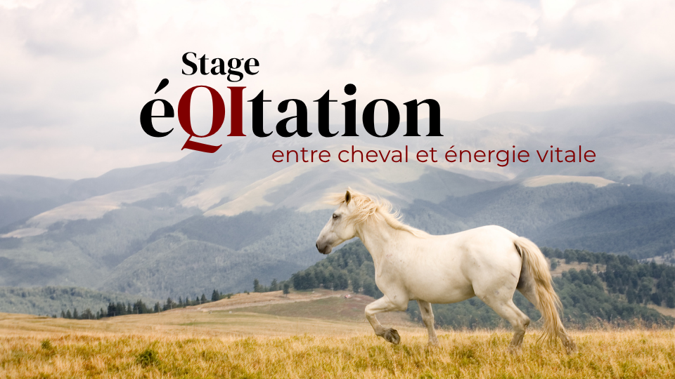 Rencontrer le cheval autrement, en cultivant la présence, l'écoute et le souffle.
Dans un monde en perpétuel mouvement, il existe un espace de lenteur, de silence, d'écoute.
Un lieu subtil où le corps devient langage, où le souffle guide la posture, où la présence crée le lien.
C'est dans cet espace que nous vous invitons à entrer.
Celui de la rencontre consciente entre l'humain et le cheval.
Nos stages d'éQItation tissent ensemble les pratiques du Tai Chi Chuan, du Qi Gong, de la méditation, du comportementalisme équin et de la communication subtile pour explorer une autre manière d'entrer en relation avec le cheval… et avec soi-même.