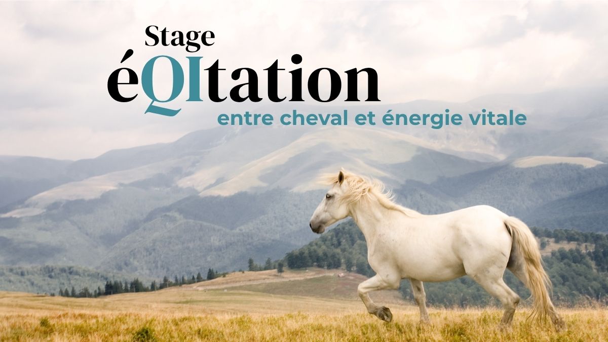 Un stage pour rencontrer le cheval autrement : ralentir, écouter, ressentir… et découvrir la puissance d'une relation basée sur la présence plutôt que sur le contrôle.