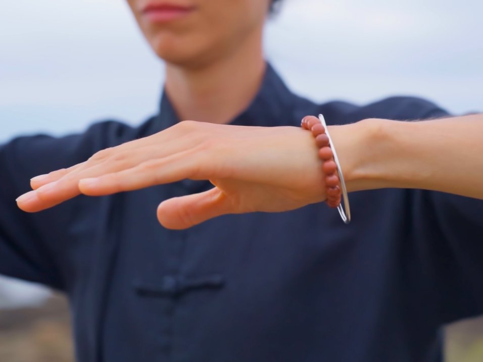 Stage de Qi Gong taoïste des 5 éléments à Retiers – 9 mai 2026