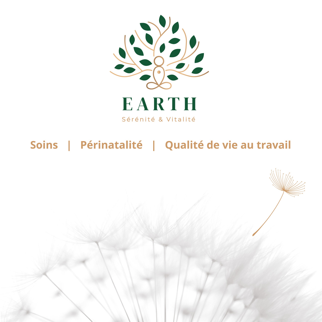 Bienvenue à l'association earth